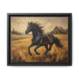 Framed Black